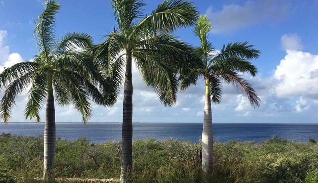 Stunning Oceanfront Villa, Direct Sea Access, Private Reef, Surrounded by Nature
