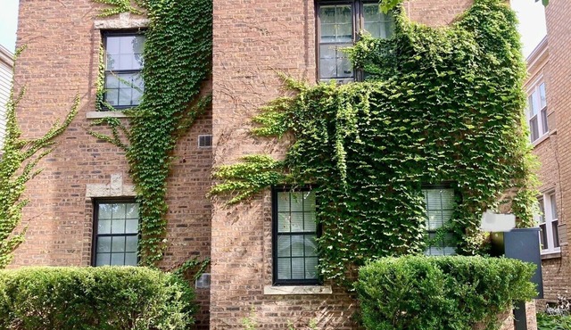 Sunny Evanston Studio: Stylish Decor, Hardwood Floors, Fenced Yard & Parking