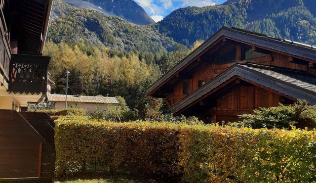 T2 rez-de-jardin Chamonix avec parking et vue Mont Blanc - FR-1-517-65 in Chamonix