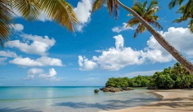 {The~Palms~View} @PlayaBonita +Beachfront+Pool+BBQ
