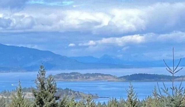 Tree house in Nanoose Bay. Above the trees take in spectacular coastal views!
