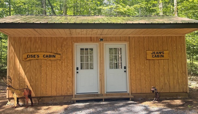 Two cabins in one space. Enjoy your own private space in the cozy woods. Cabin is divided into two separate rooms. Dog friendly in Middle Grove