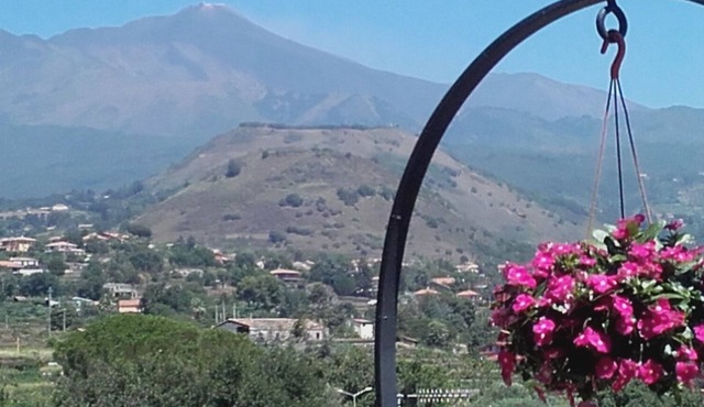 Two neighboring houses, totally independent, ideal for families or groups.