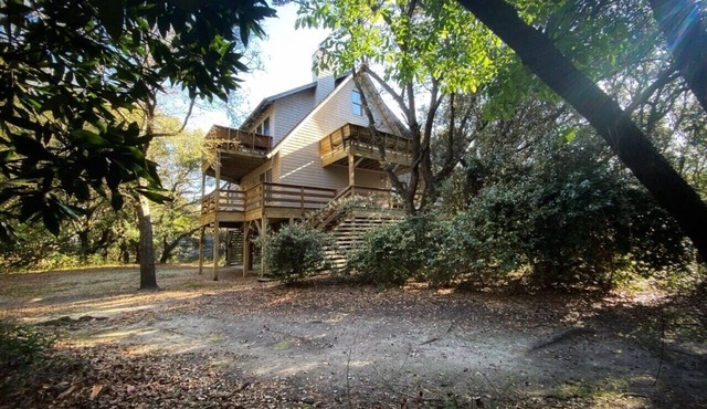 Where the green trees meet the blue seas! Short walk to the beach & pet friendly in Kitty Hawk