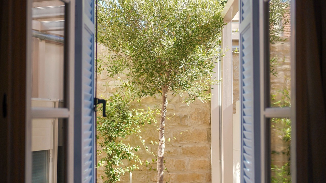 Photo of Outdoor in Historical Center