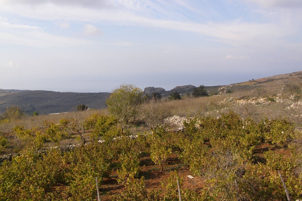 Photo of Others in Ineia