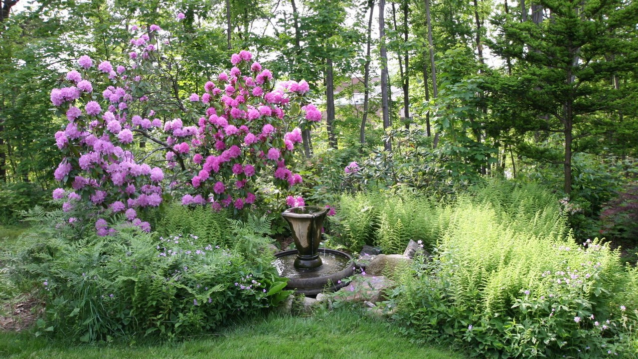 Photo of Outdoor in Fitchburg