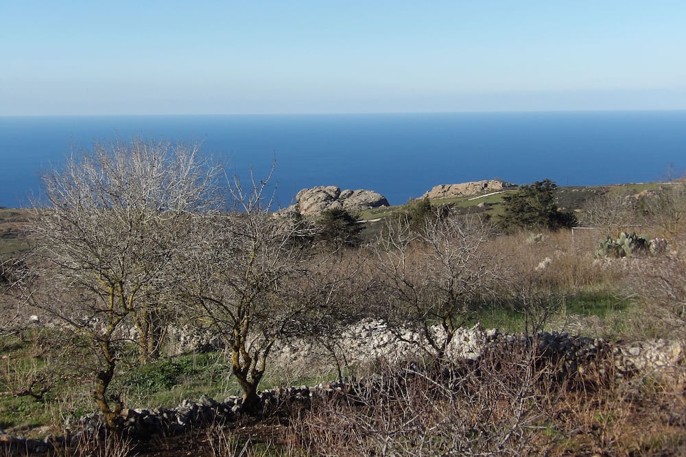 Photo of Others in Ineia