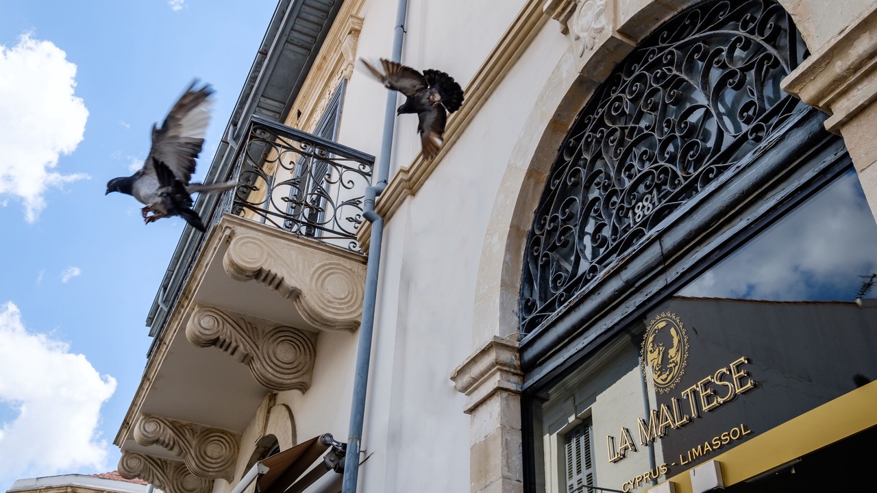 Photo of Outdoor in Old Town of Limassol