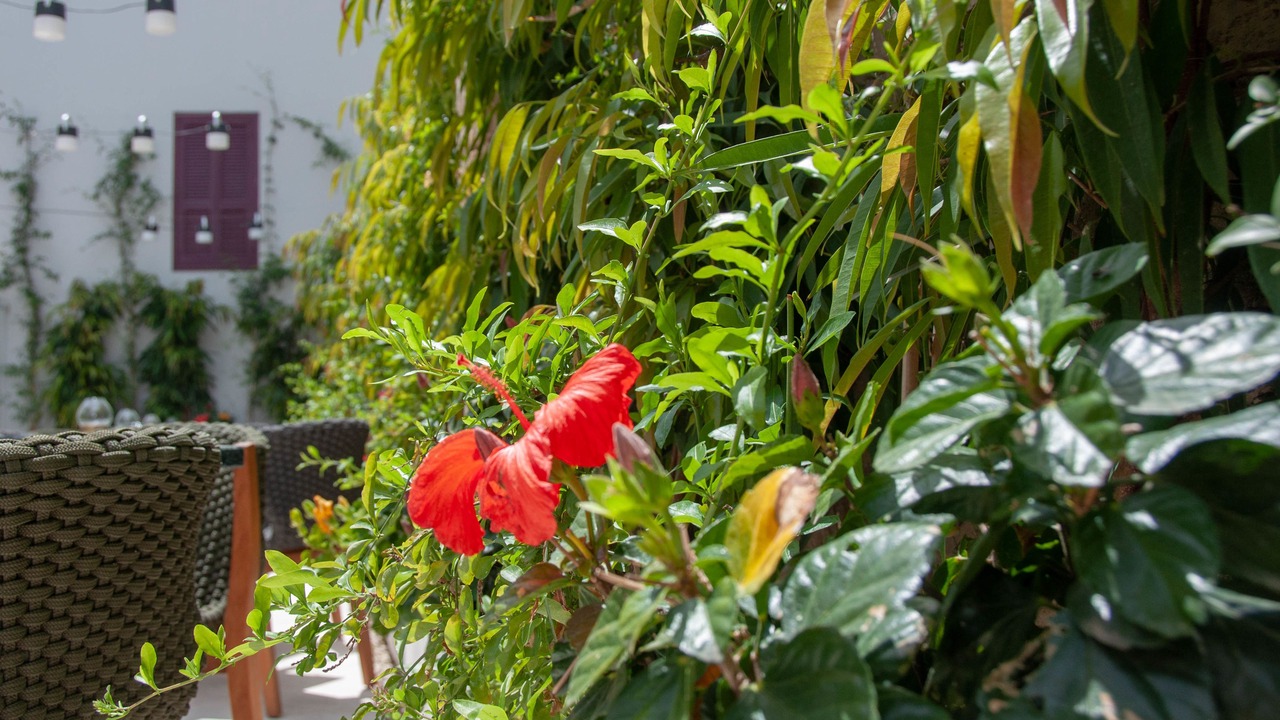 Photo of Outdoor in Old Town of Limassol