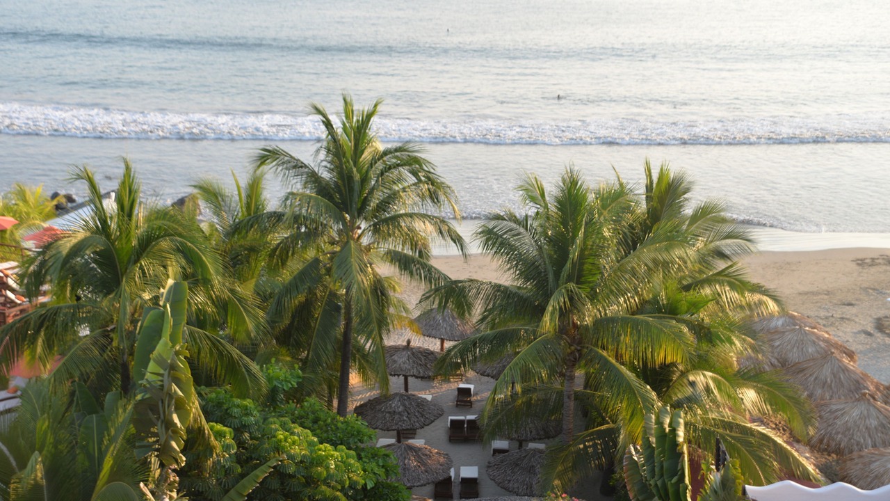 Photo of Others in Playa la Madera