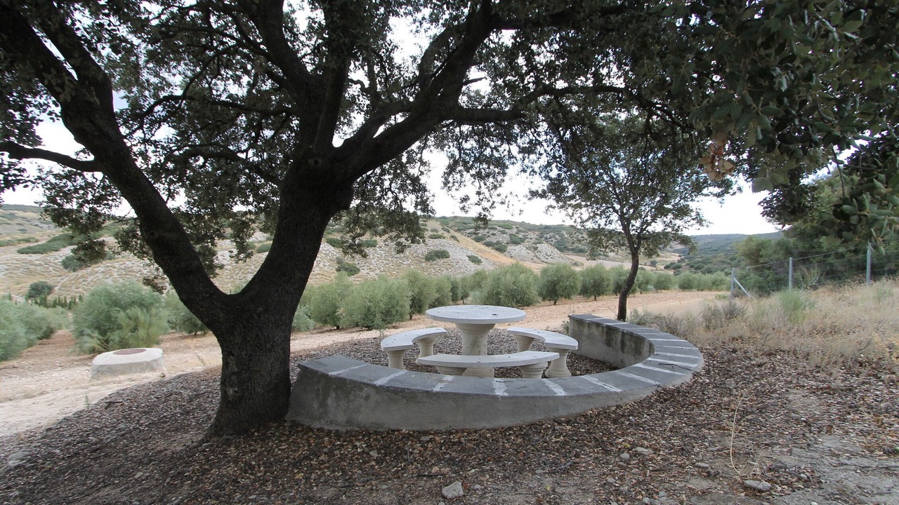 Photo of Outdoor in San Martin de la Vega