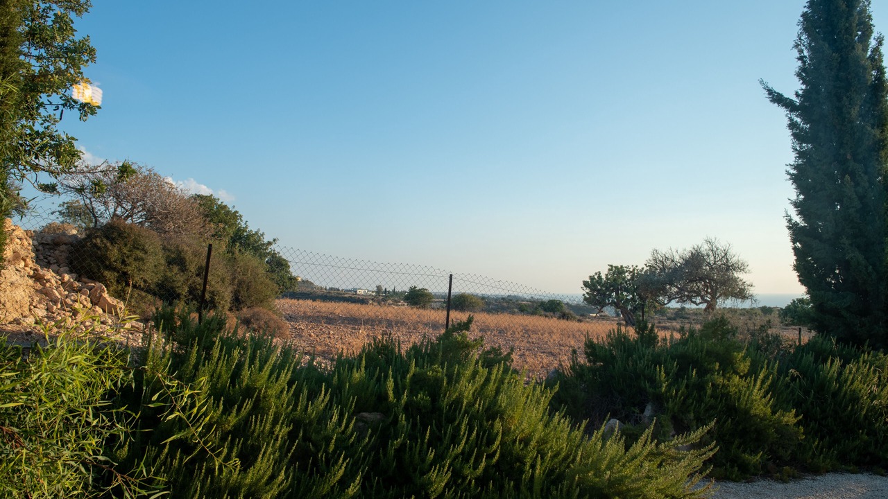 Photo of Outdoor in Pegeia