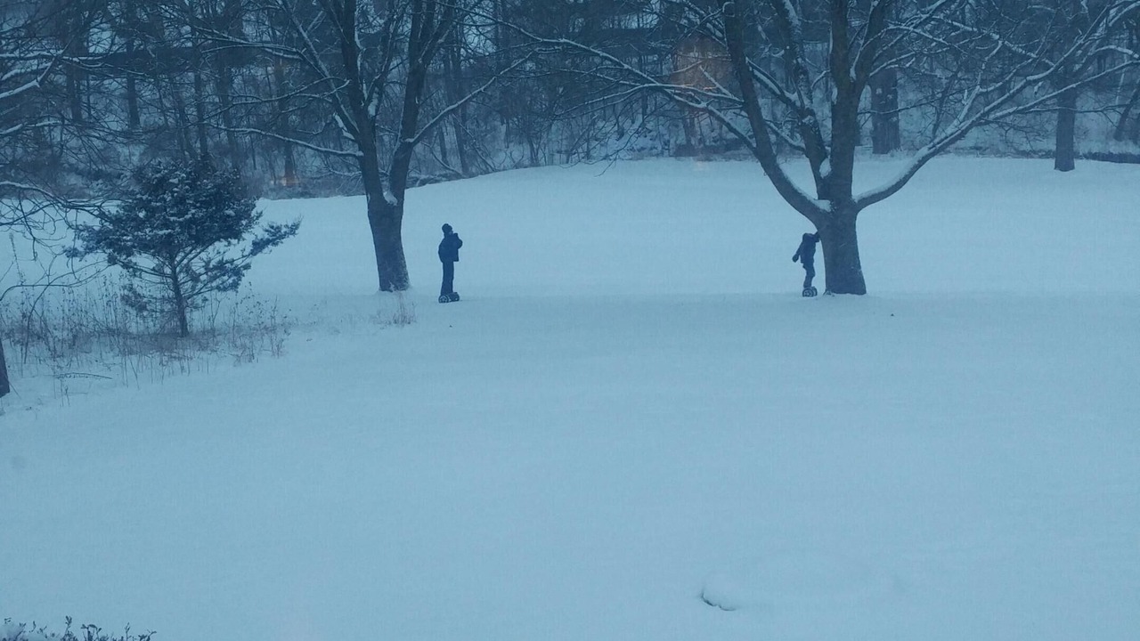 Photo of Others in The Galena Territory