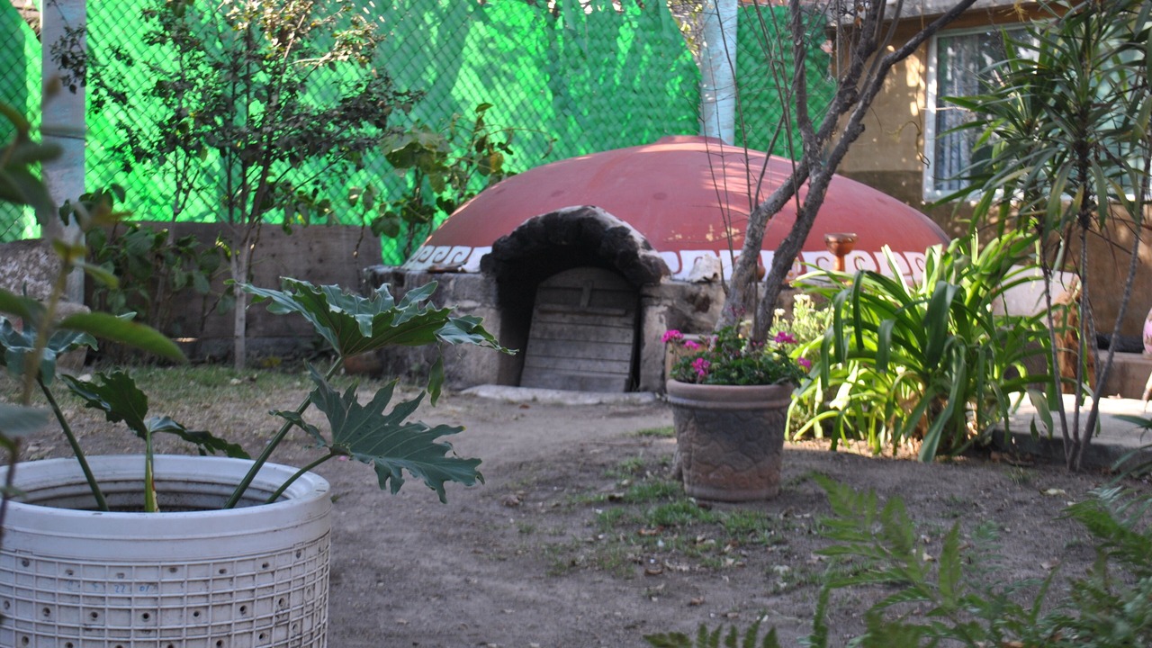 Photo of Others in San Sebastian Xolalpa
