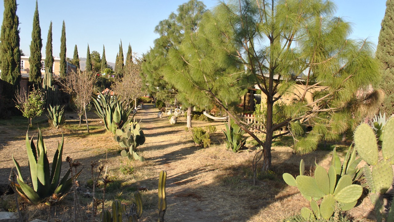 Photo of Outdoor in San Sebastian Xolalpa