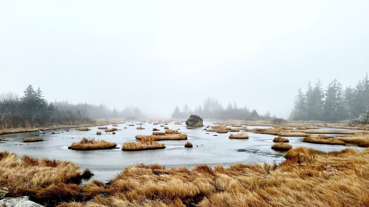 Photo of Others in Lunenburg County