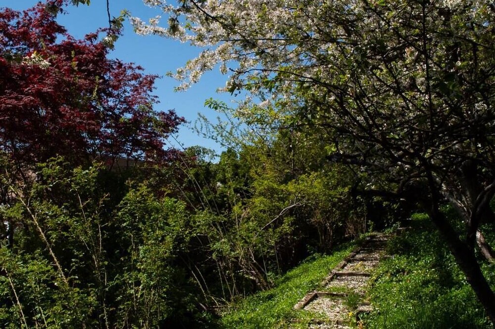 Photo of Others in West Vancouver