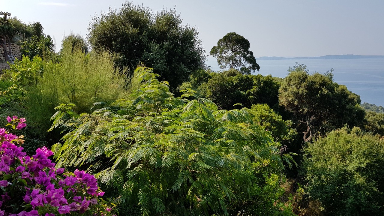 Photo of Others in Le Rayol