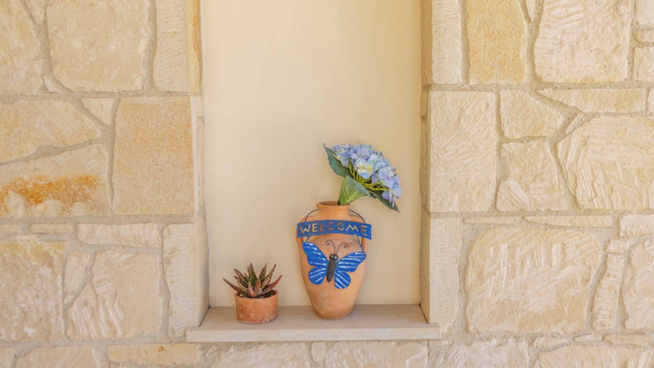 Photo of Outdoor in Pegeia