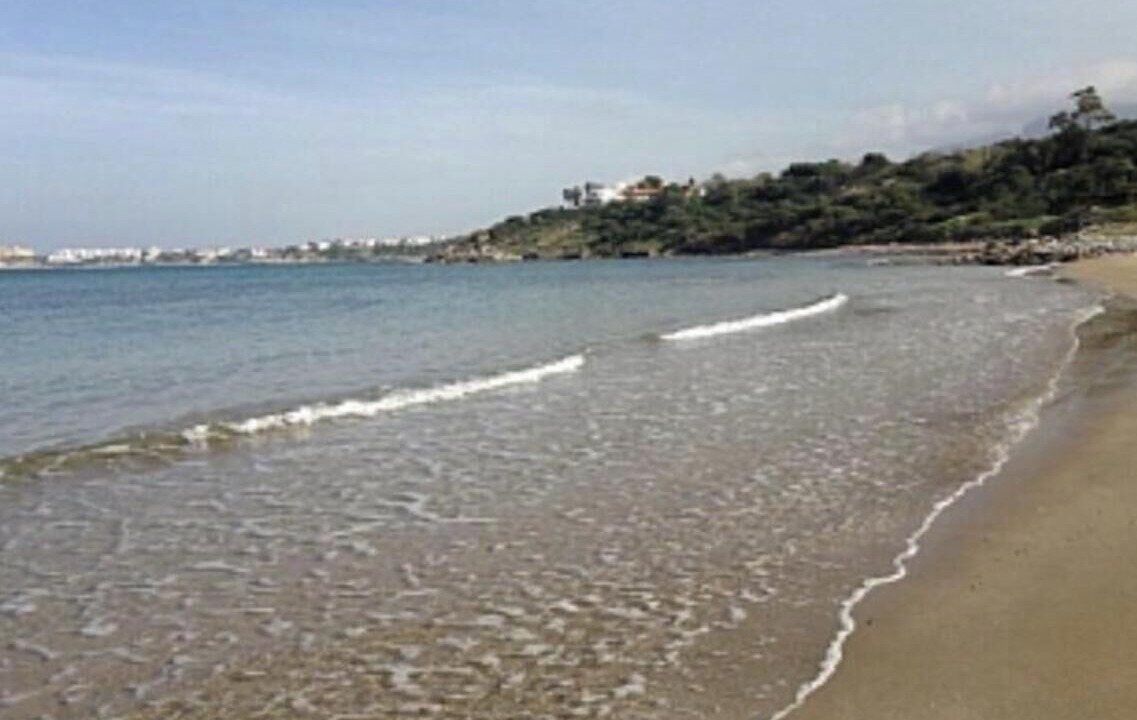 Photo of Others in Zeytinlik
