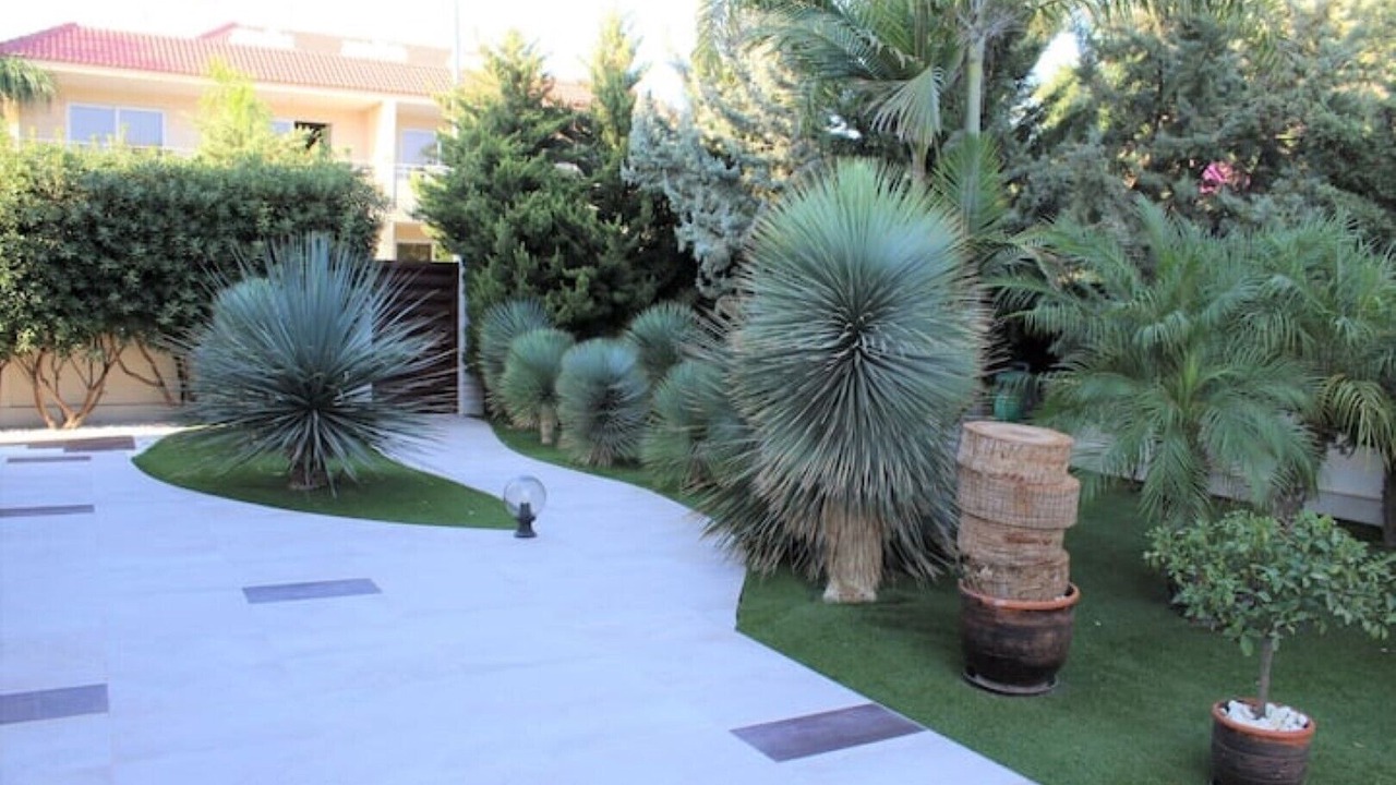 Photo of Outdoor in Ayia Napa