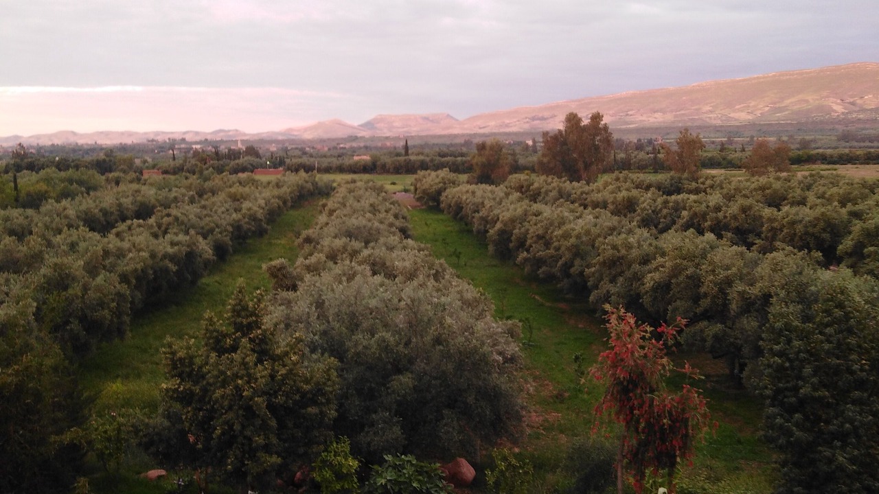 Photo of Outdoor in Nzala