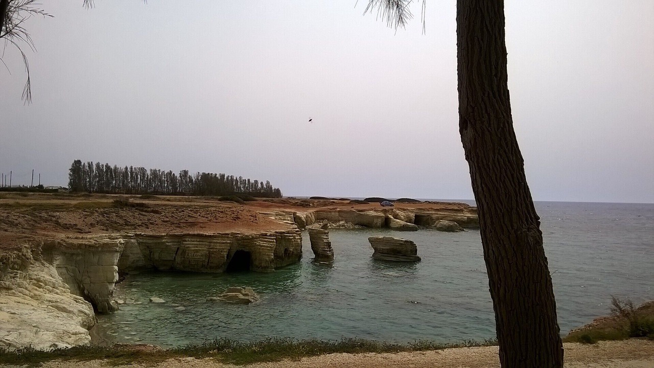 Photo of Others in Pegeia