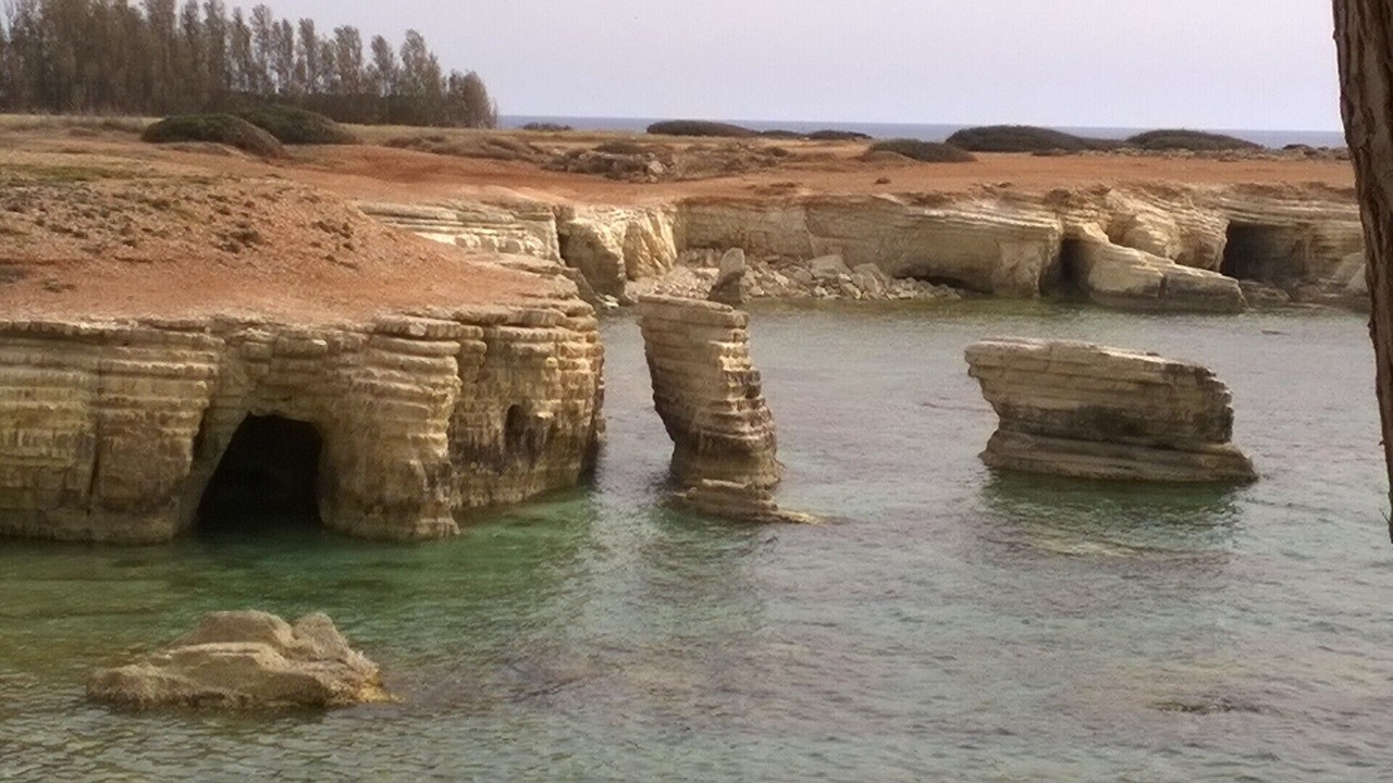 Photo of Others in Pegeia