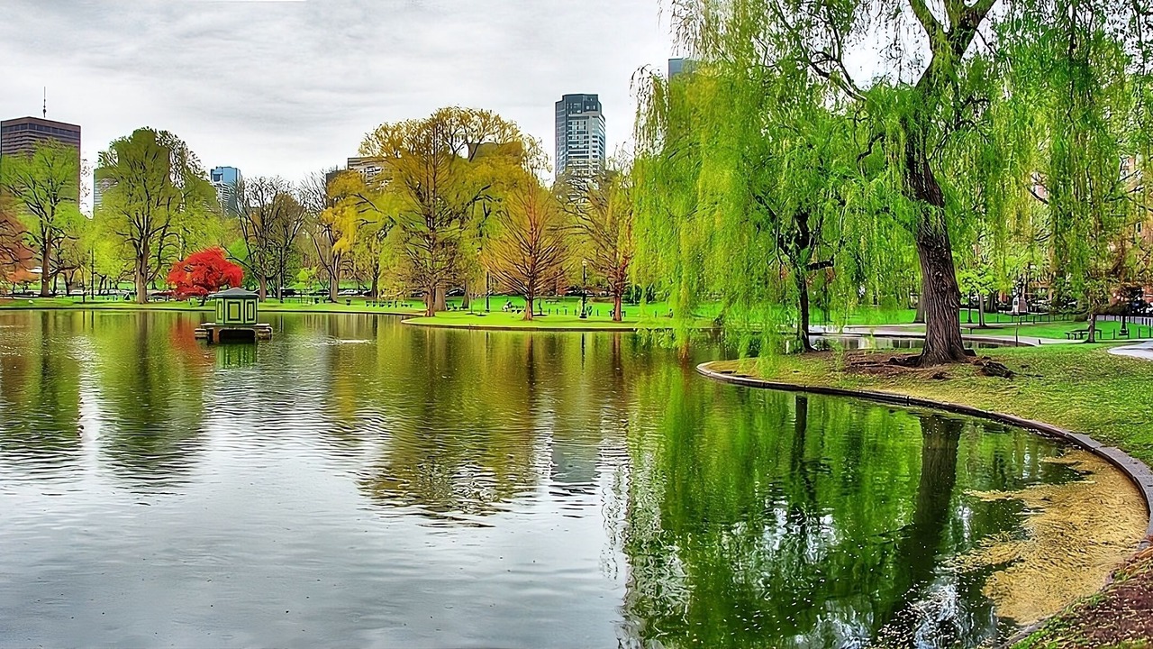 Photo of Outdoor in Downtown Boston