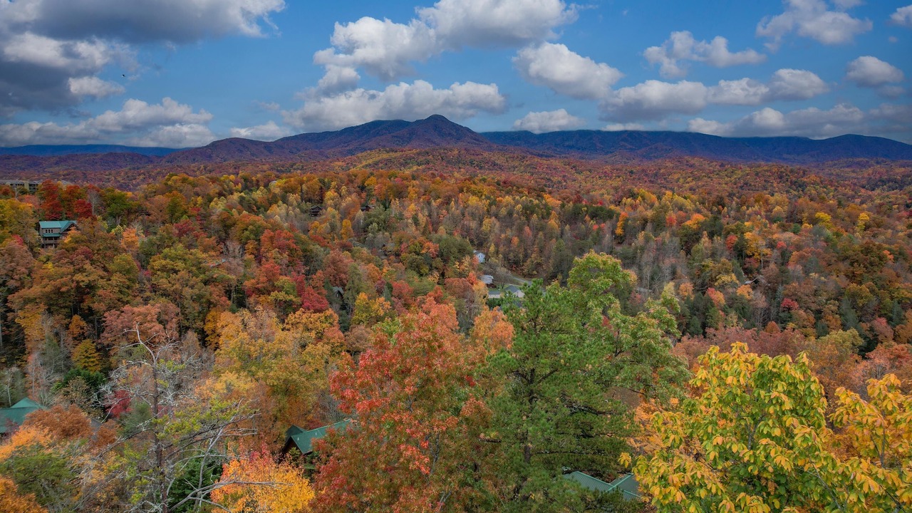 Photo of Others in Gatlinburg