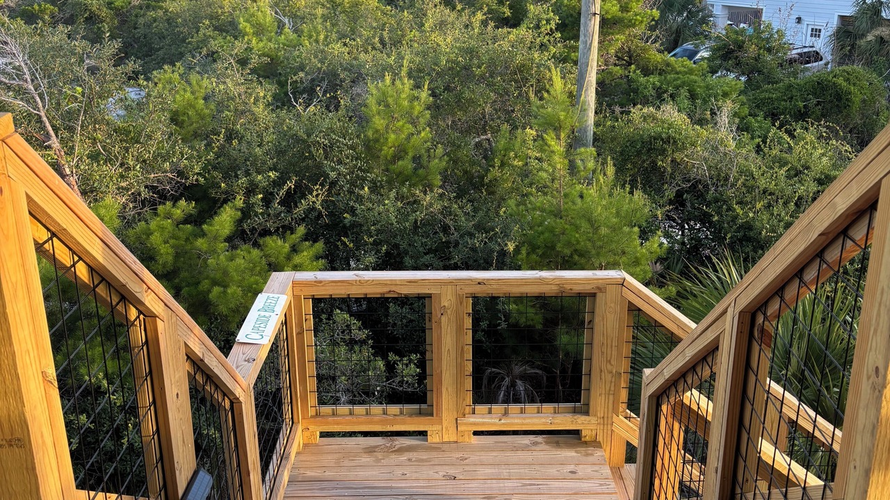 Photo of Outdoor in Cape San Blas