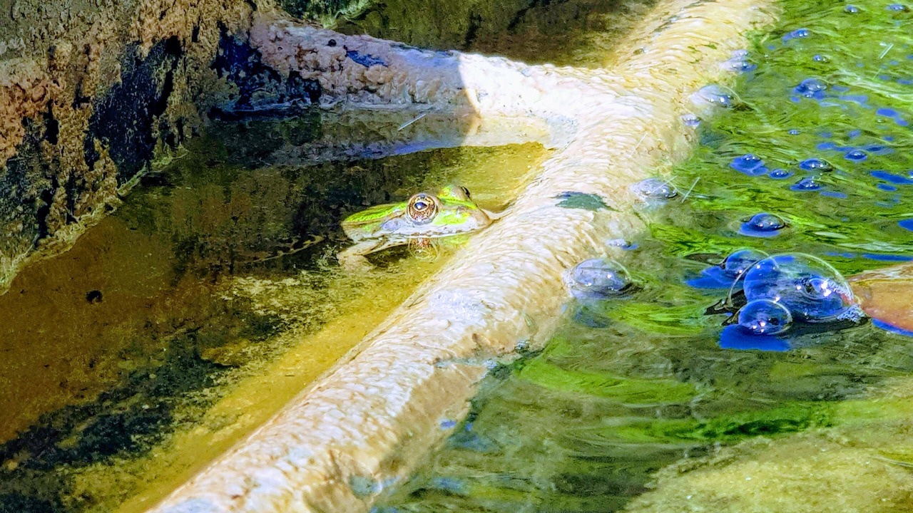Photo of Outdoor in Flayosc