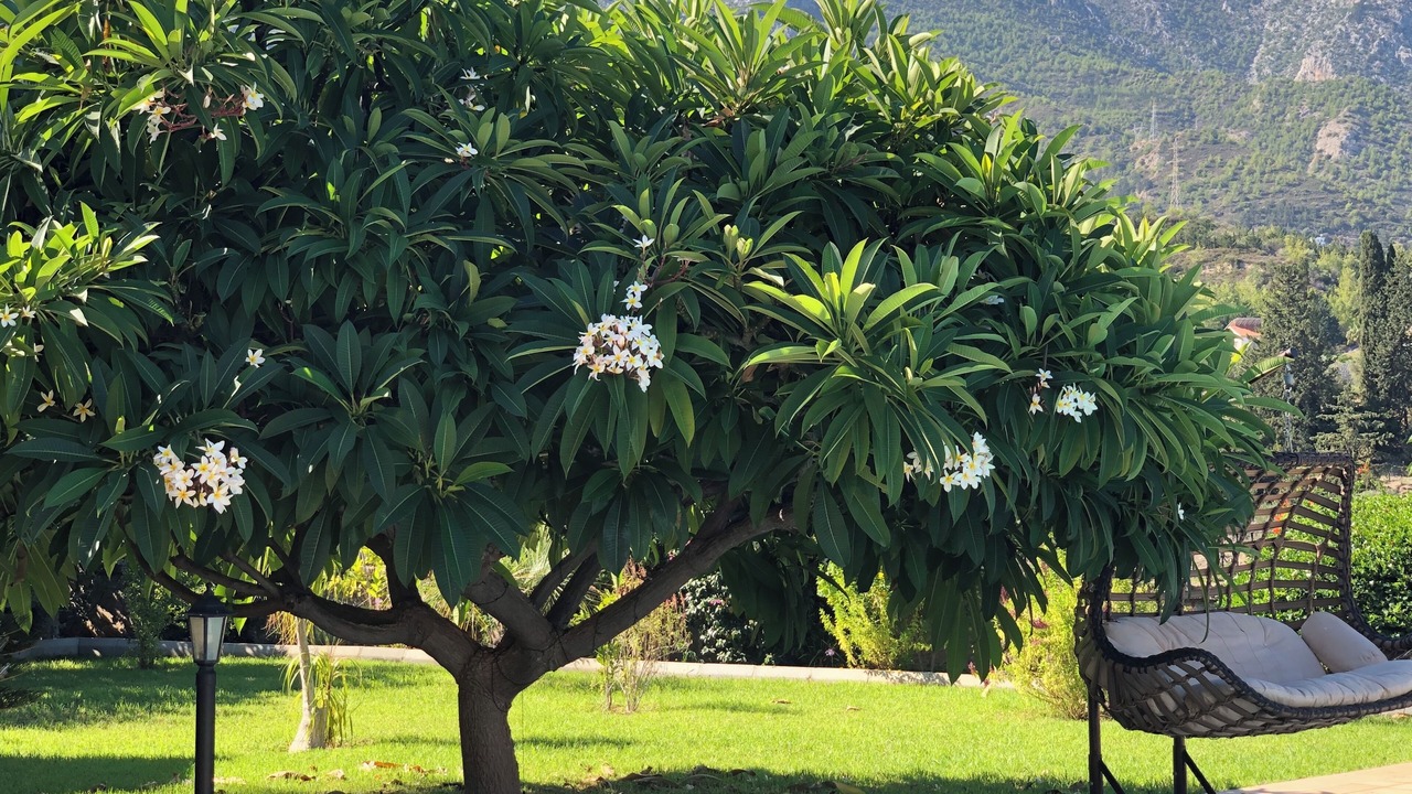 Photo of Outdoor in Kyrenia