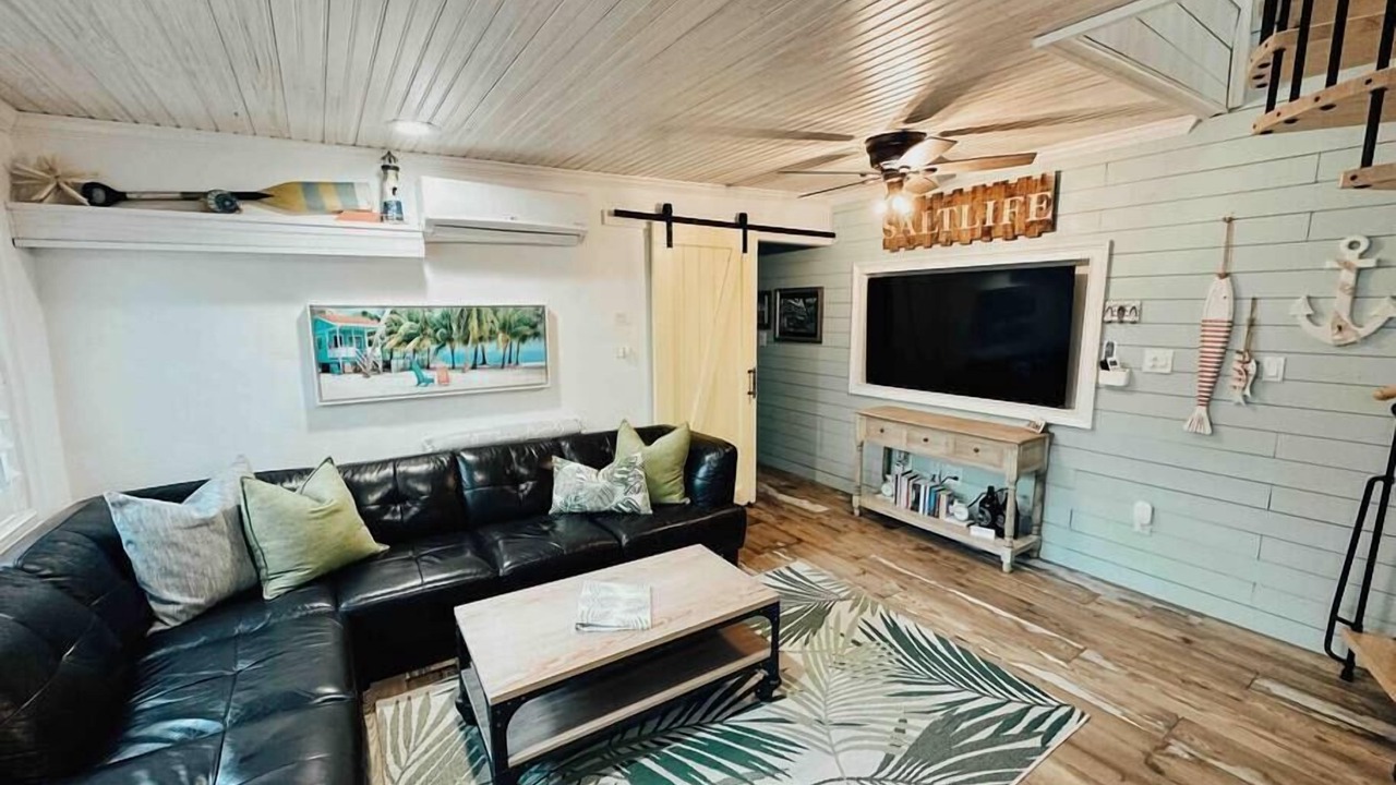 Photo of Livingroom in Safety Harbor