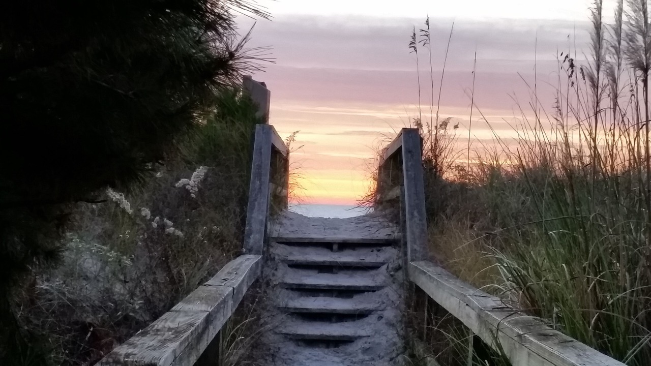 Photo of Others in Surf City