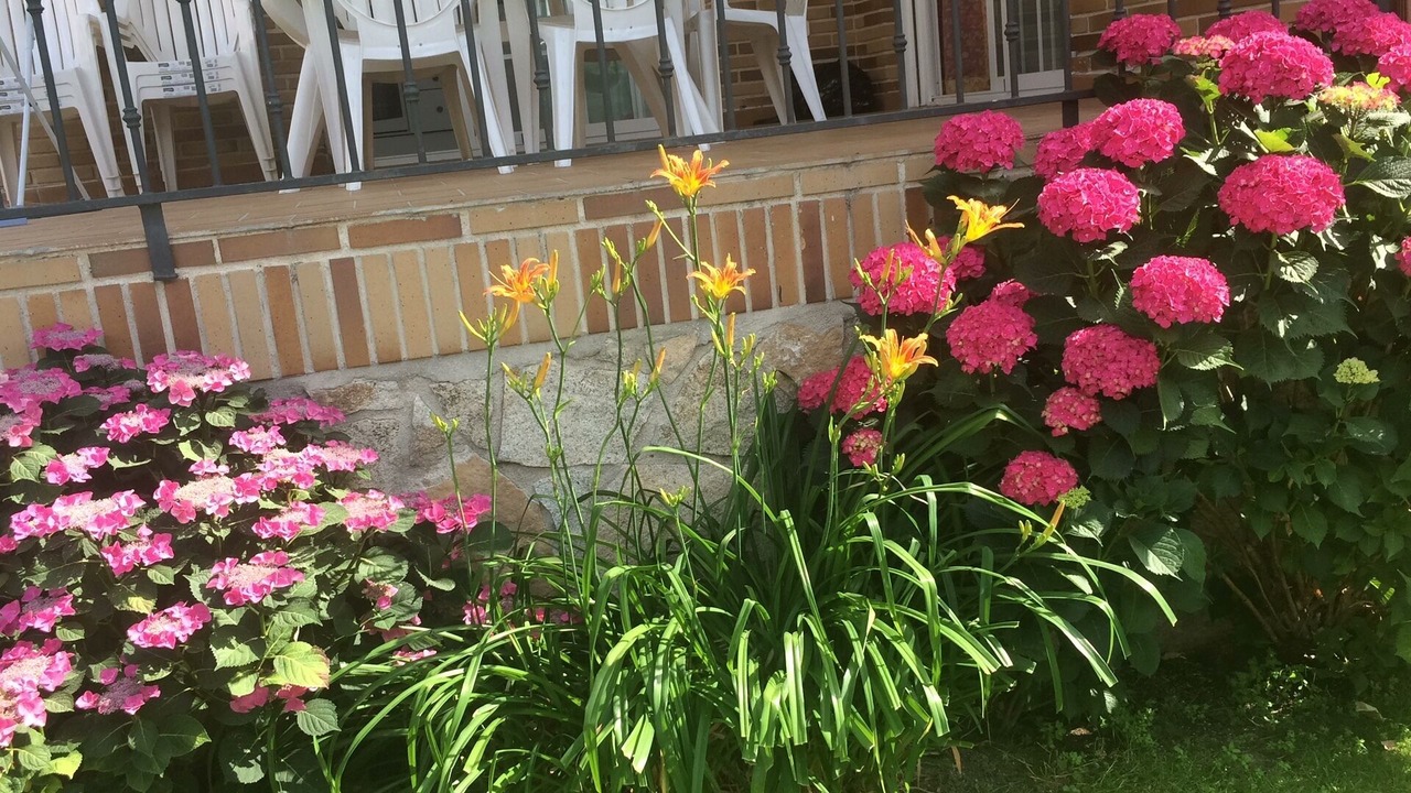 Photo of Outdoor in Villanueva de la Canada