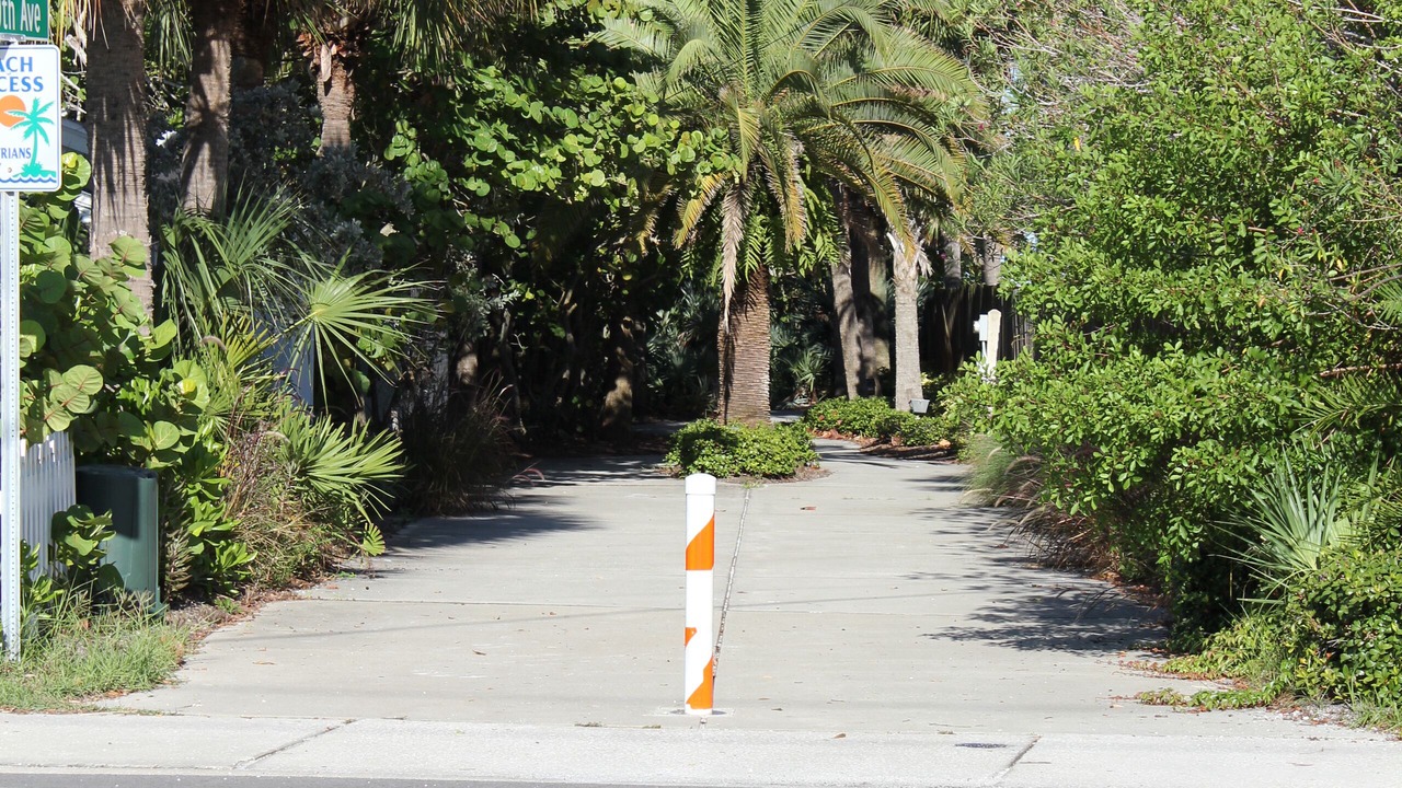 Photo of Others in Indian Rocks Beach