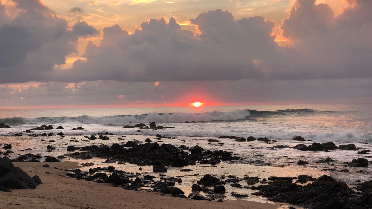 Photo of Others in Troncones