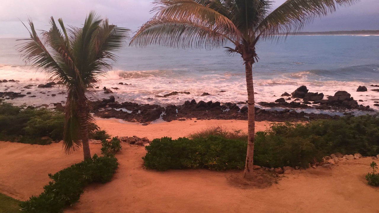 Photo of Others in Troncones