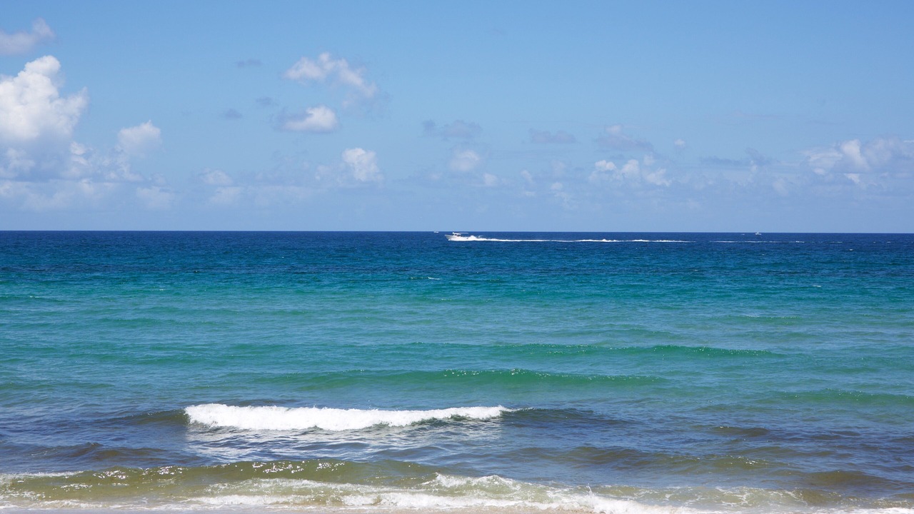 Photo of Others in Hillsboro Beach