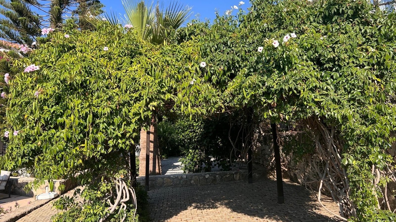 Photo of Outdoor in Dogankoy