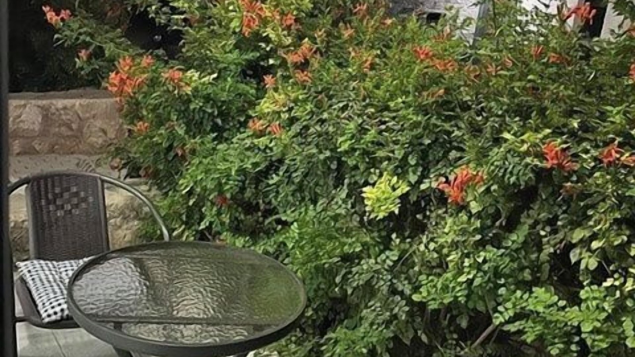 Photo of Outdoor in Esentepe
