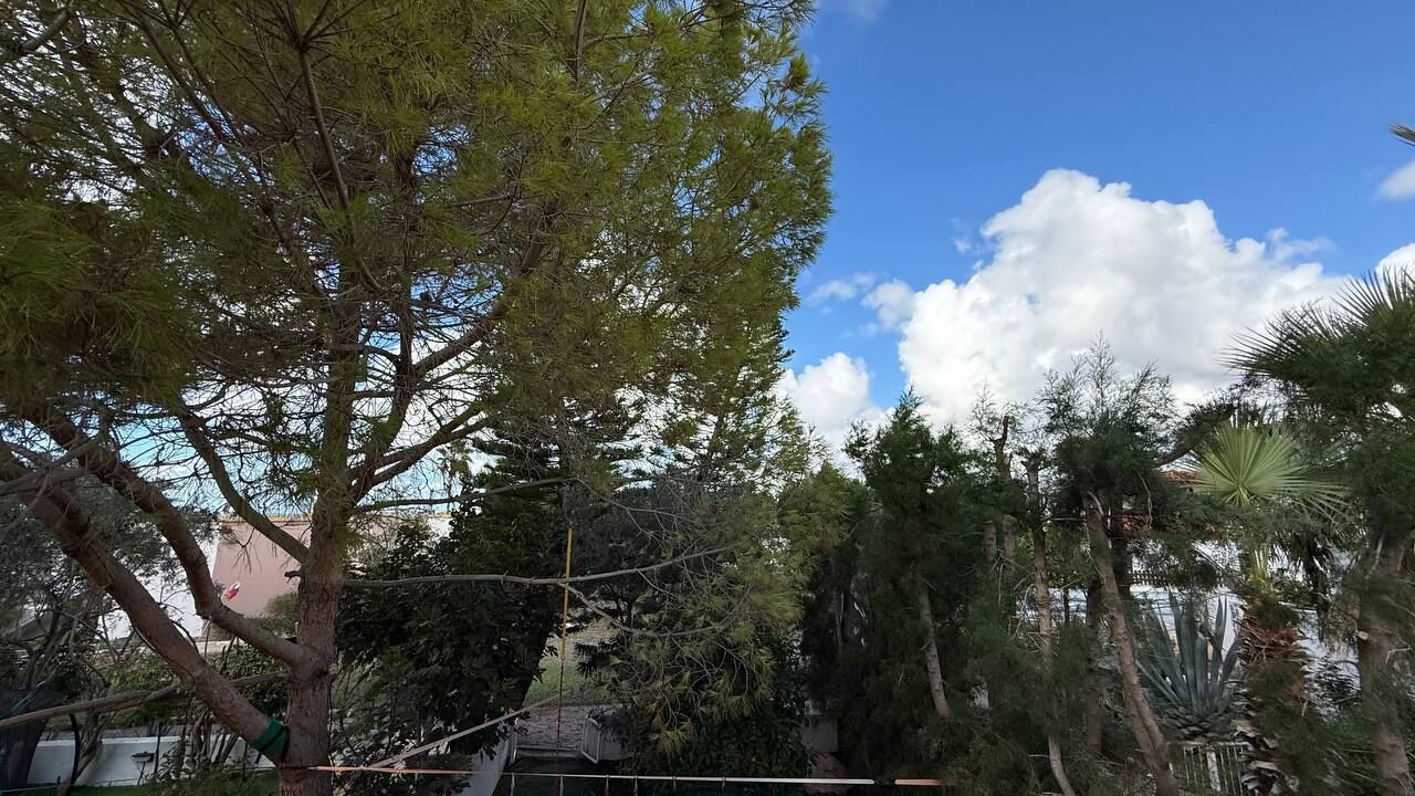 Photo of Outdoor in Chlorakas