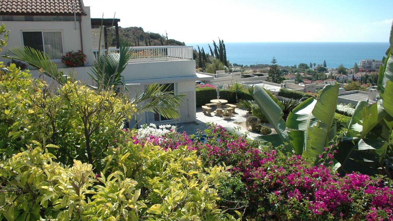 Photo of Outdoor in Pissouri