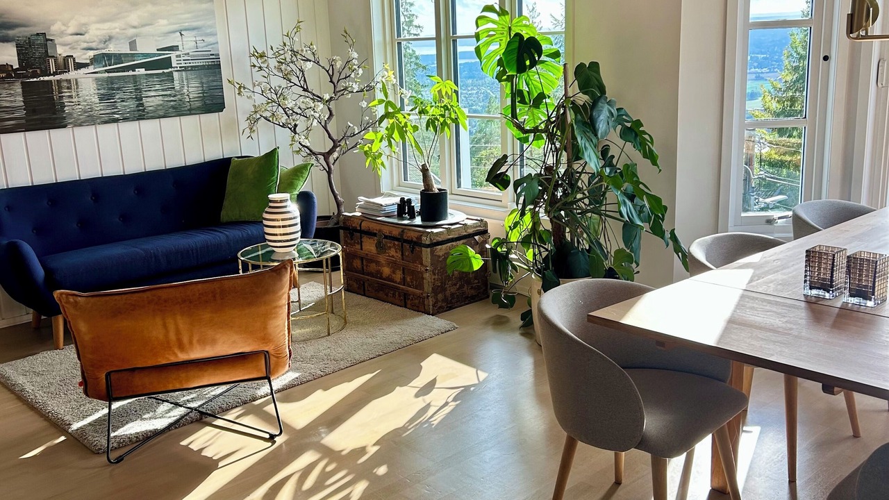 Photo of Livingroom in Holmenkollen