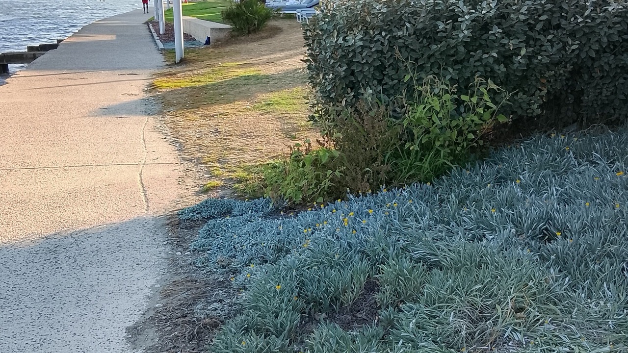 Photo of Outdoor in Oroklini