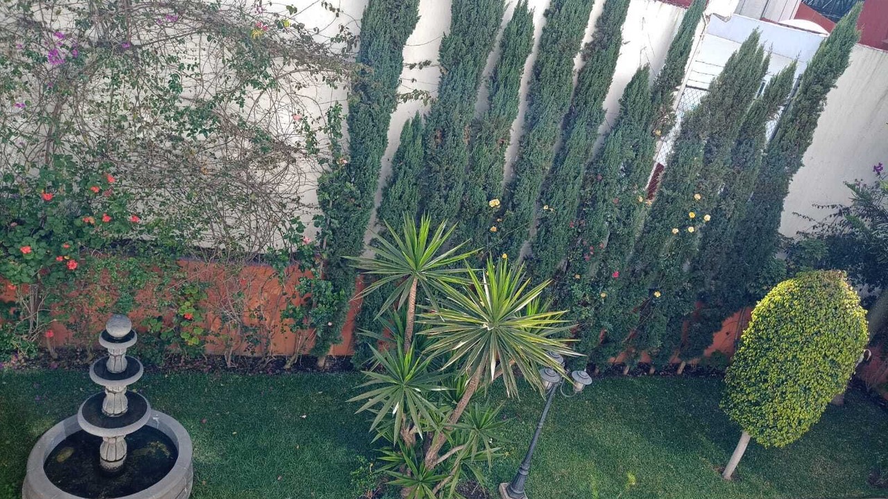 Photo of Outdoor in Tlalpan