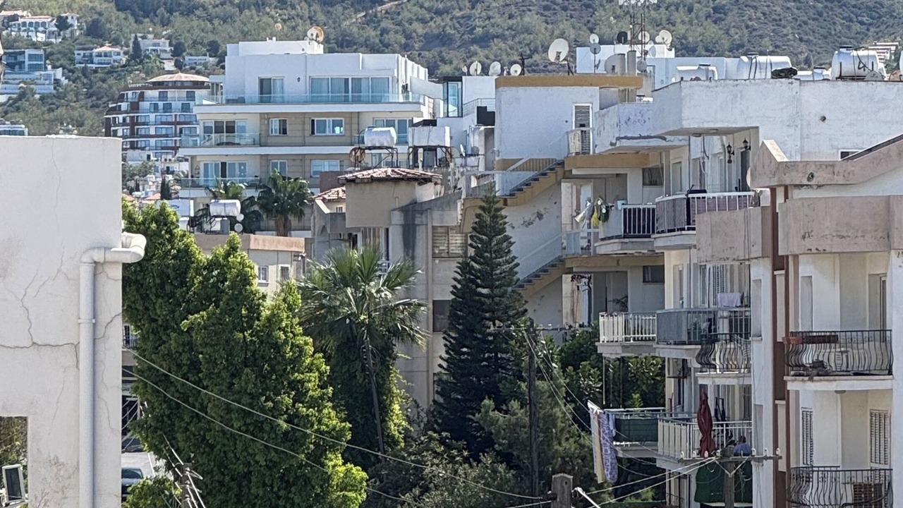 Photo of Others in Zeytinlik