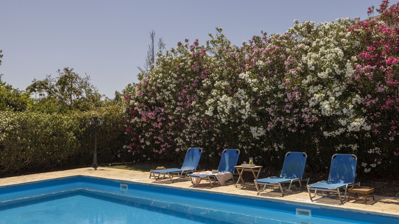Photo of Outdoor in Argaka